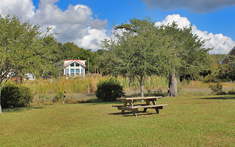 Field and Picnic Table
