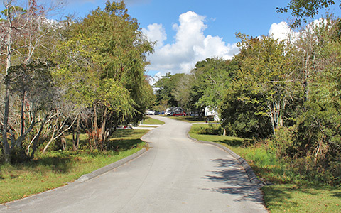 Road through campground